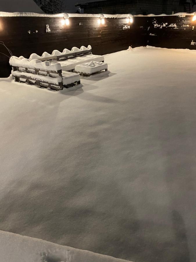 Shale Na Polotskoy Villa Babrujsk Exteriör bild